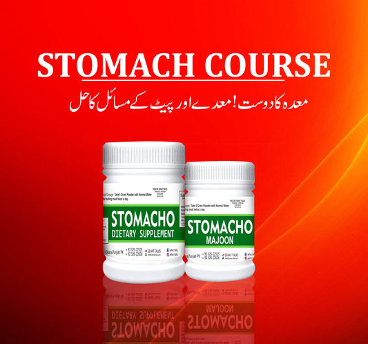 STOMACH COURSE